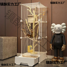 ���������̖�۴�������Äe���C���A��֦������\����؈���\