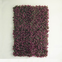 ϰٺ~ֲƺϲ݉|T^󱳾bGֲ