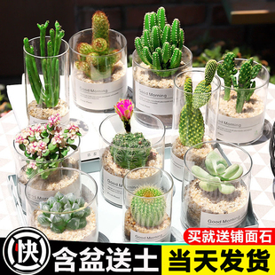 ����ֲ������������������M�������k���҃Ȼ��ܺ��B����С�Gֲ��