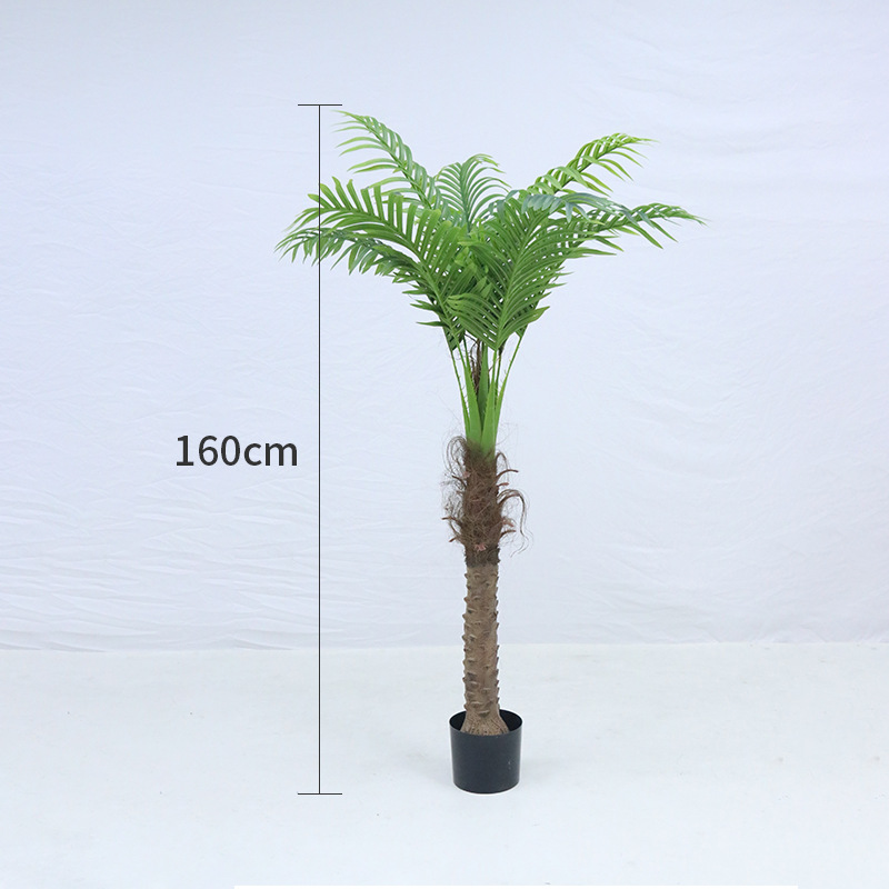 Nuevo cocotero 160cm