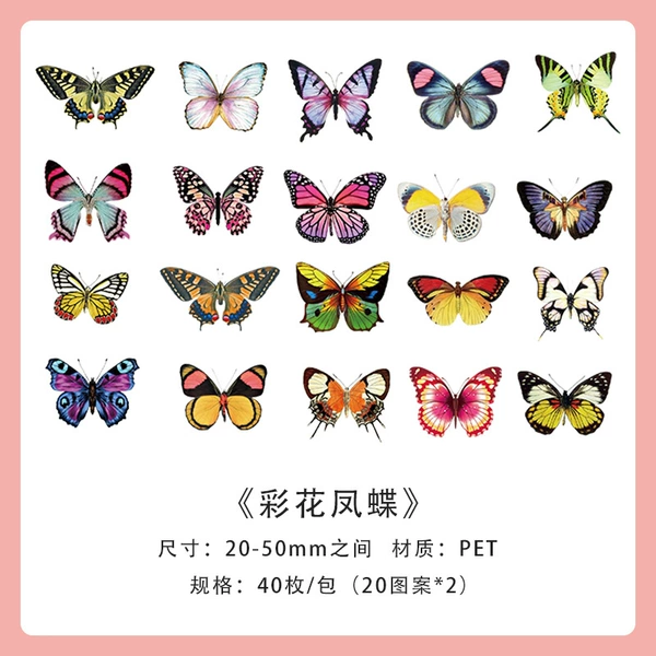 Caihuaya Sum Butterfly