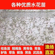 ˮ���~�����l�a�~�~���~���^�����������~���~����~�N���~