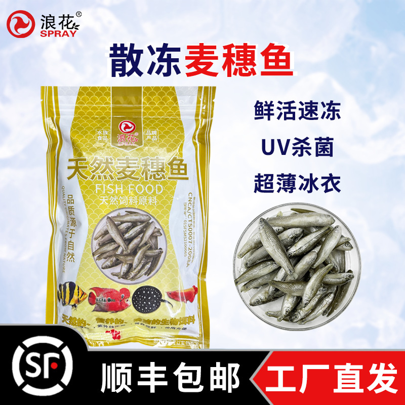 浪花500g新鲜散冻麦穗鱼中大型鱼粮龙鱼魟鱼虎鱼乌龟饲料