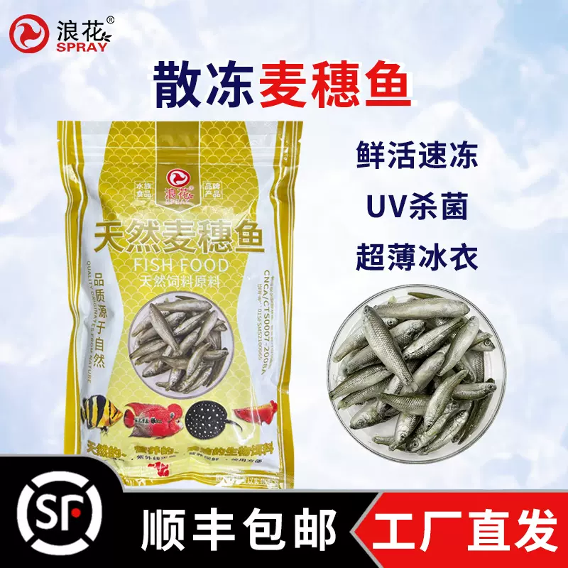浪花500g新鲜散冻麦穗鱼中大型鱼粮龙鱼魟鱼虎鱼乌龟饲料