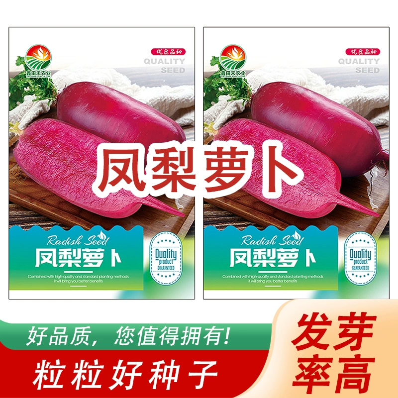 Семена ананасовой редьки для фабрики — вкусные и освежающие. Семена ананасовой редьки готовы к посадке на месте.