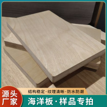 样品专拍海洋板桦木板防水防潮桦木双面无补丁 海洋板厂家供应