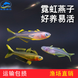 �޺������~���ɹ����鰢���ټt���ӟ����~�Ꭷ�Ꭷ�~�^�p���w����