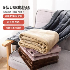 发热垫;电热毯/垫;电热毯