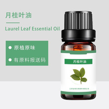 �S�ҬF؛���� �¹��~�� �¹��͆η��������s��ȡ�¹�