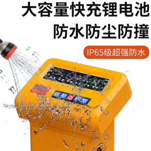 FAYA Electronic Scale Truck Lithium Electric Manual Hydraulic Belt Scale Electronic Weighing Forklift Weighing Cattle Logistics Floor Scale