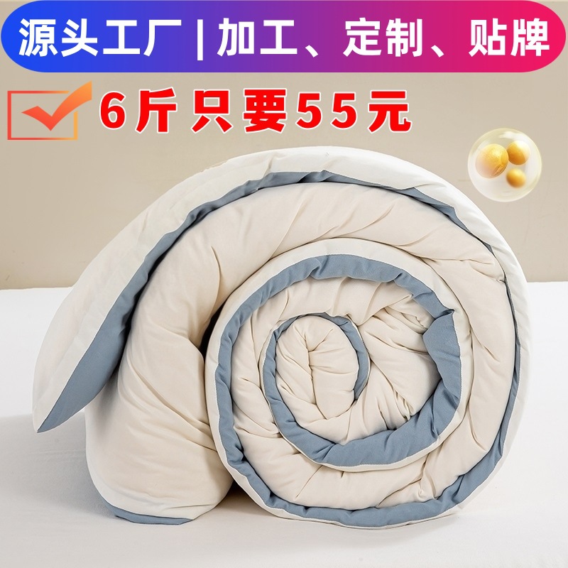 Winter Quilt, Thickened Soybean Fiber Quilt, 180*220 for Dormitory Single Student, Quilt Core 150*200