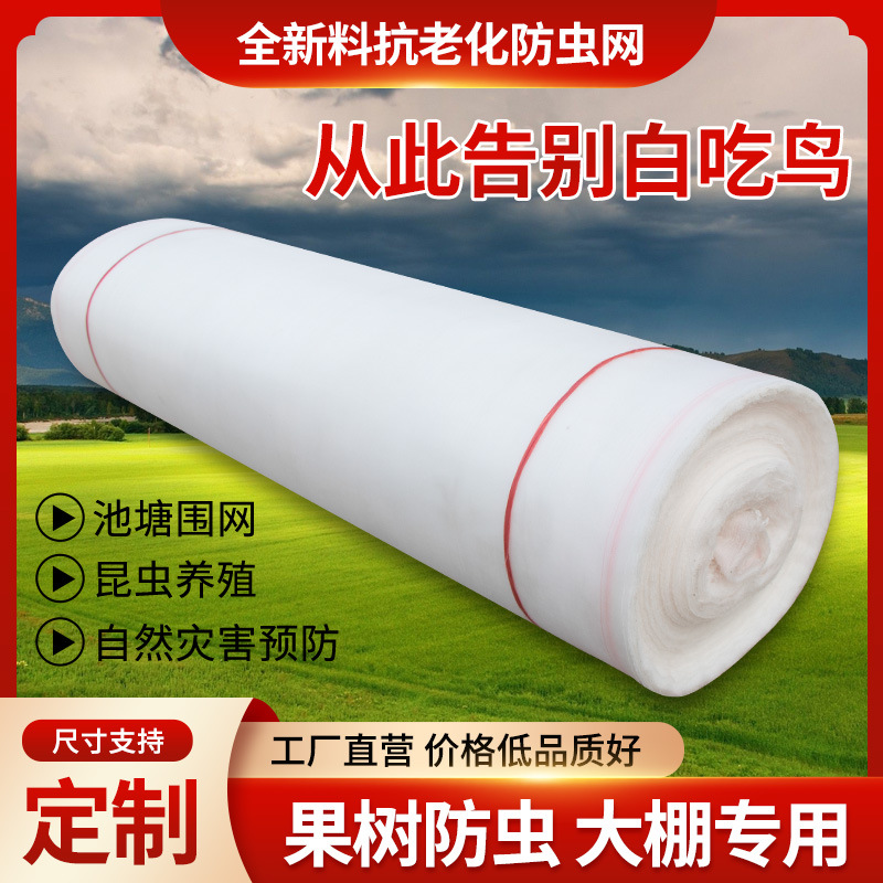 防虫网大棚果园猪场防蚊专用网莲雾网防鸟网全新聚乙烯80目养殖网