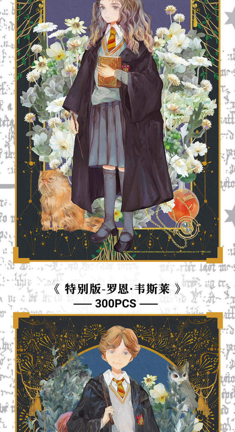 TOI哈利波特拼图