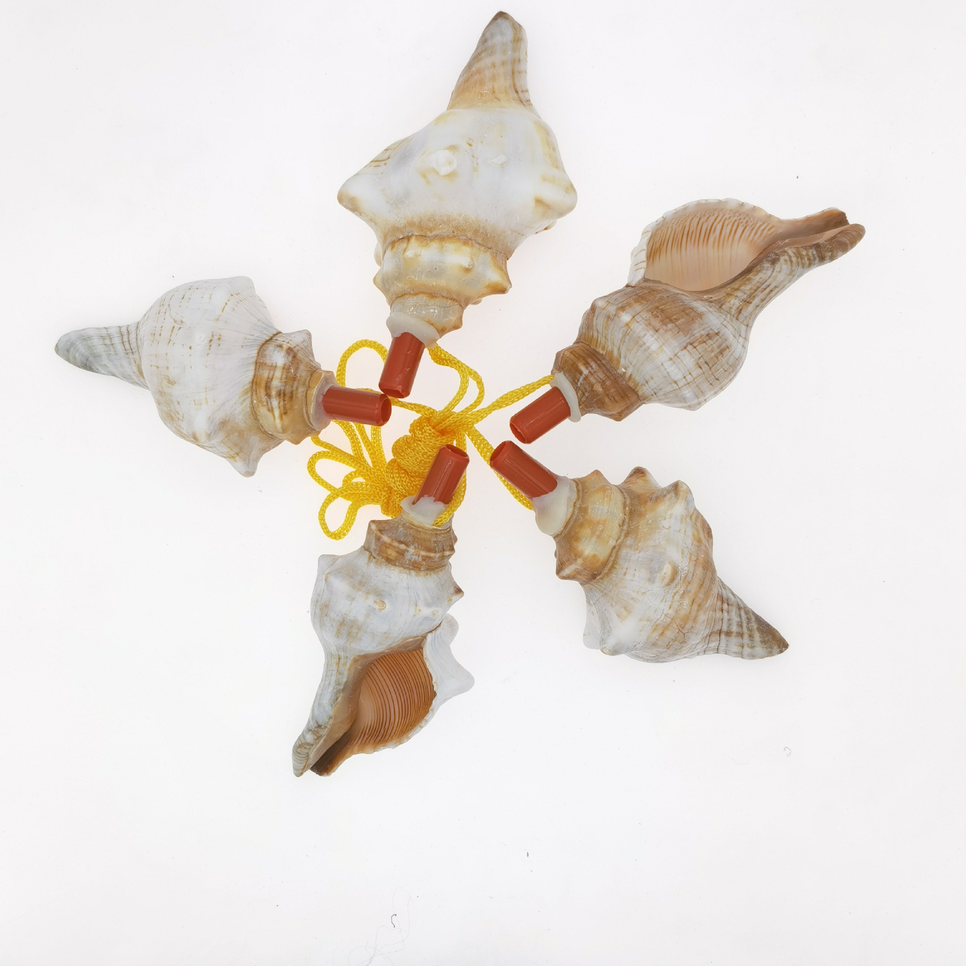 现货天然贝壳海螺口哨装饰贝壳海螺批发工艺品旅游区地推扫码用-阿里巴巴
