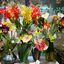 �������˽�����ֲ�����ԟᎧ���ֽ��������B���~���ٻ�c�����b�