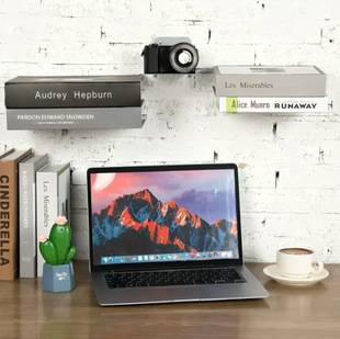 �羳���P��[�Ε����[��ʽ�Ҹ�֧��invisible book shelf.