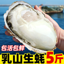 �ش���ɽ����r��10���r��Ϡ��5��亣�rĵϠؐ����ʳˮ�a