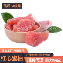 福建红心蜜柚 当季新鲜水果 琯溪蜜柚薄皮肉多现摘非三红柚 现货
