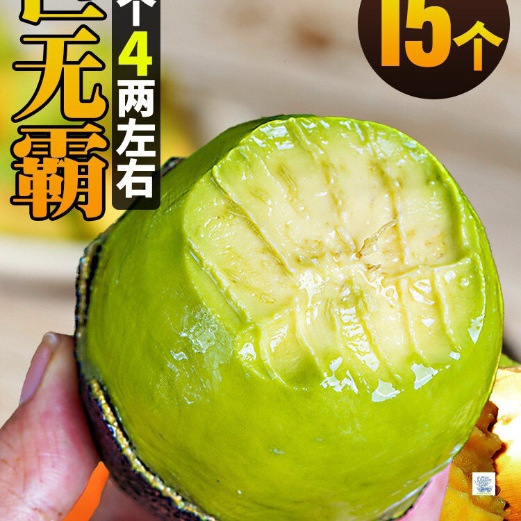 15 Large Avocados, Imported Fresh Fruits, Seasonal Whole Box with Free Shipping, Ready-To-Eat Baby Food, Creamy Ripe Avocados 15 Large Avocados, Imported Fresh Fruits, Seasonal Whole Box with Free Shipping, Ready-To-Eat Baby Food, Creamy Ripe Avocados