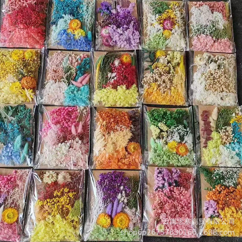 亚马逊永生花干花材料包香薰蜡烛滴胶浮游花DIY团扇压花相框押花