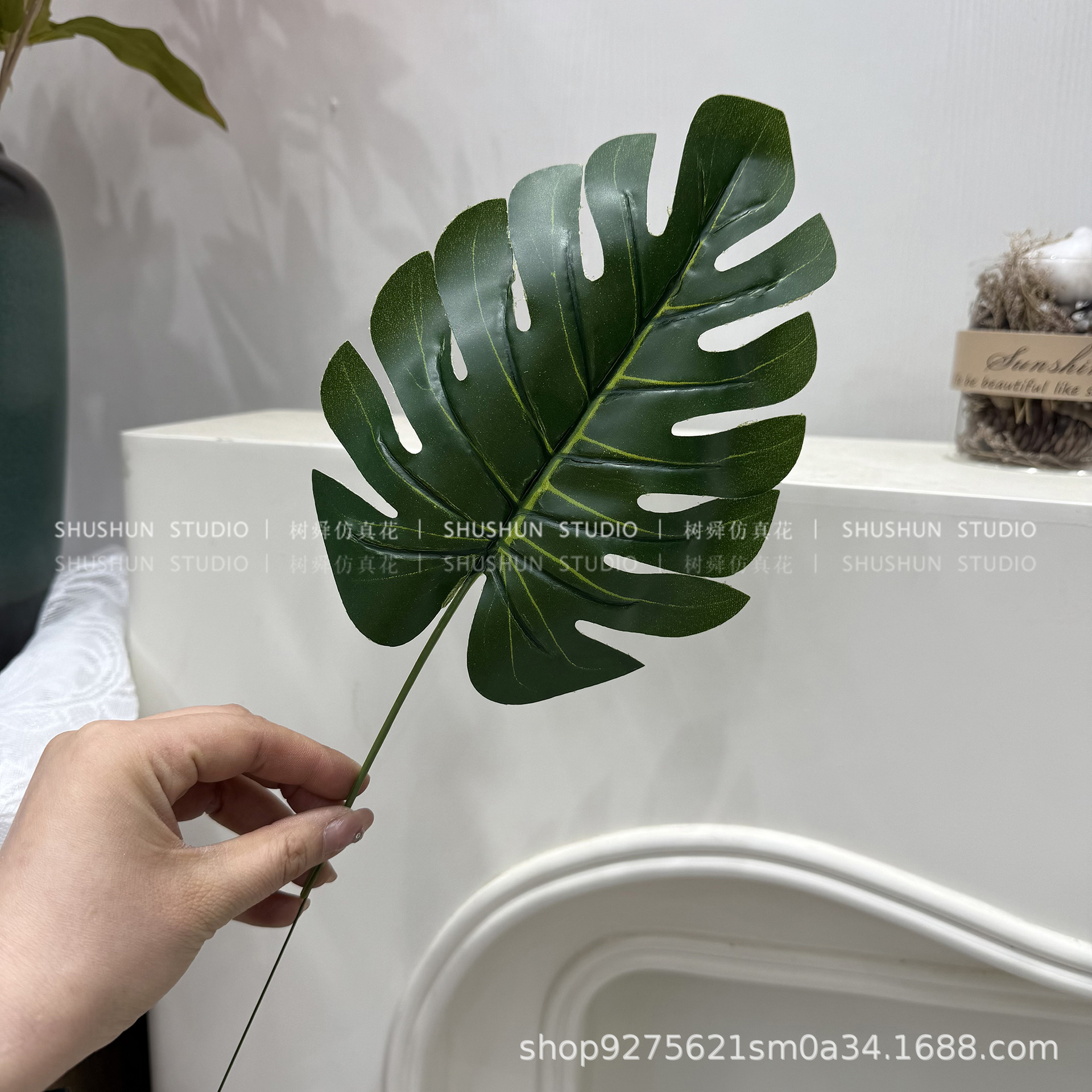 Hoja de tortuga pequeña de una sola rama