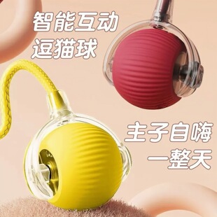 �羳؈������ԄӶ�؈�����˽␞�������܎��K�������С؈���