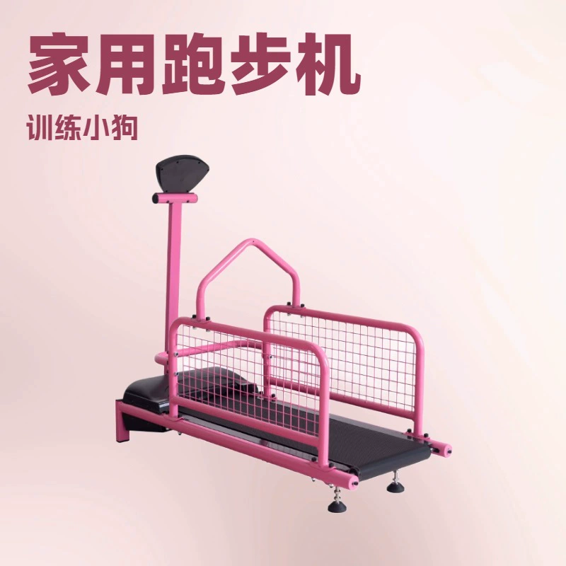 Stepper, equipment for training, pet, for running