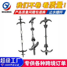 止水螺杆建筑工程用三段穿墙对拉止水螺栓通丝螺杆三段式止水螺杆