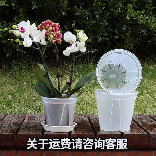 Breathable root control pot for orchids, plastic pots for Philodendron, rose, succulents, gallon pots, transparent green mountain pots
