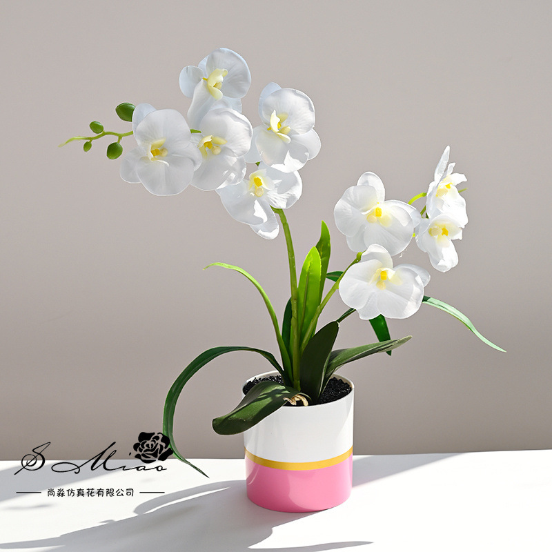 Dos puntas, 9 flores, sensación de phalaenopsis, plantas en macetas, flores de simulación creativa, decoración de estudio fotográfico para el hogar, plantas verdes artificiales, plantas en macetas image 3
