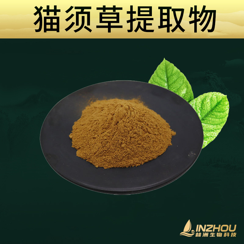 猫须草提取物  多规格比例提取物  林洲生物 猫须公/化石提取物