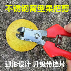 不鏽鋼窩型摘果剪蘋果梨子專用剪番茄橘子採摘剪塑柄窩型果把剪刀