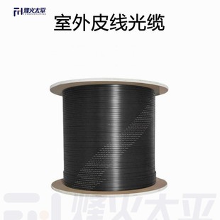 Indoor and Outdoor Ftth Home Fiber Optic Cable Single-Mode 1-Core 2-Core Butterfly Fiber Optic Cable for Home Communication