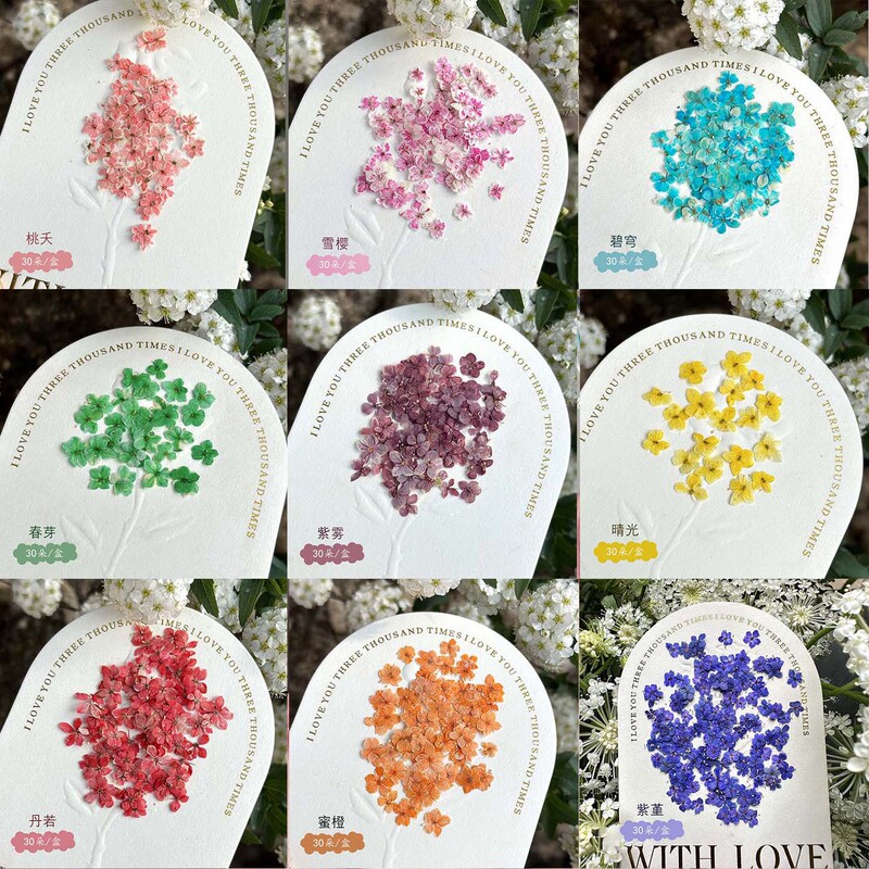 Nail Art Colorful Dried Flower Materials Monet Garden Exquisite Five-Petal Flower Materials Flower Decoration Small Floral Nail Decorations