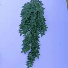 ������ľ�~�Gֲ�ڒ� ��c�ưɲ͏d�͏d�����b��洹�������ٗl