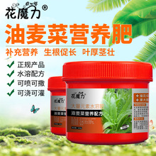 油麦菜专用营养肥莜麦菜菜盆景盆栽地栽庭院催长四季小菜园通用肥