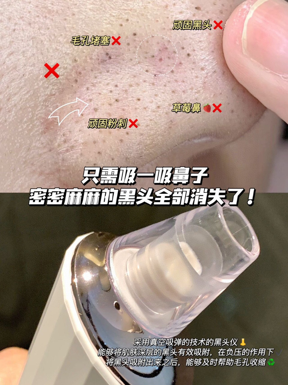 微信图片_20231117131045.jpg?x-oss-process=image/format,png