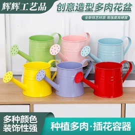 花盆容器;壁挂、壁饰;装饰花瓶