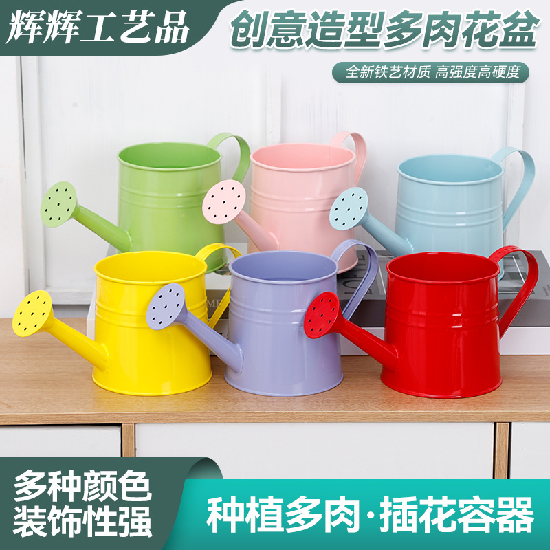 New Style Teachers' Day Creative Sprinkling Kettle Flower Pot Flower Bottle Flower Decoration Flower Artwork Green Planting Iron Flower Pot Balcony