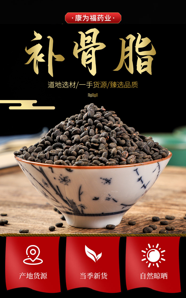 Bu Gu Zhi (Psoralea corylifolia) — Prepared Psoralea Seeds, Food Herb for Decoction & Powder overview