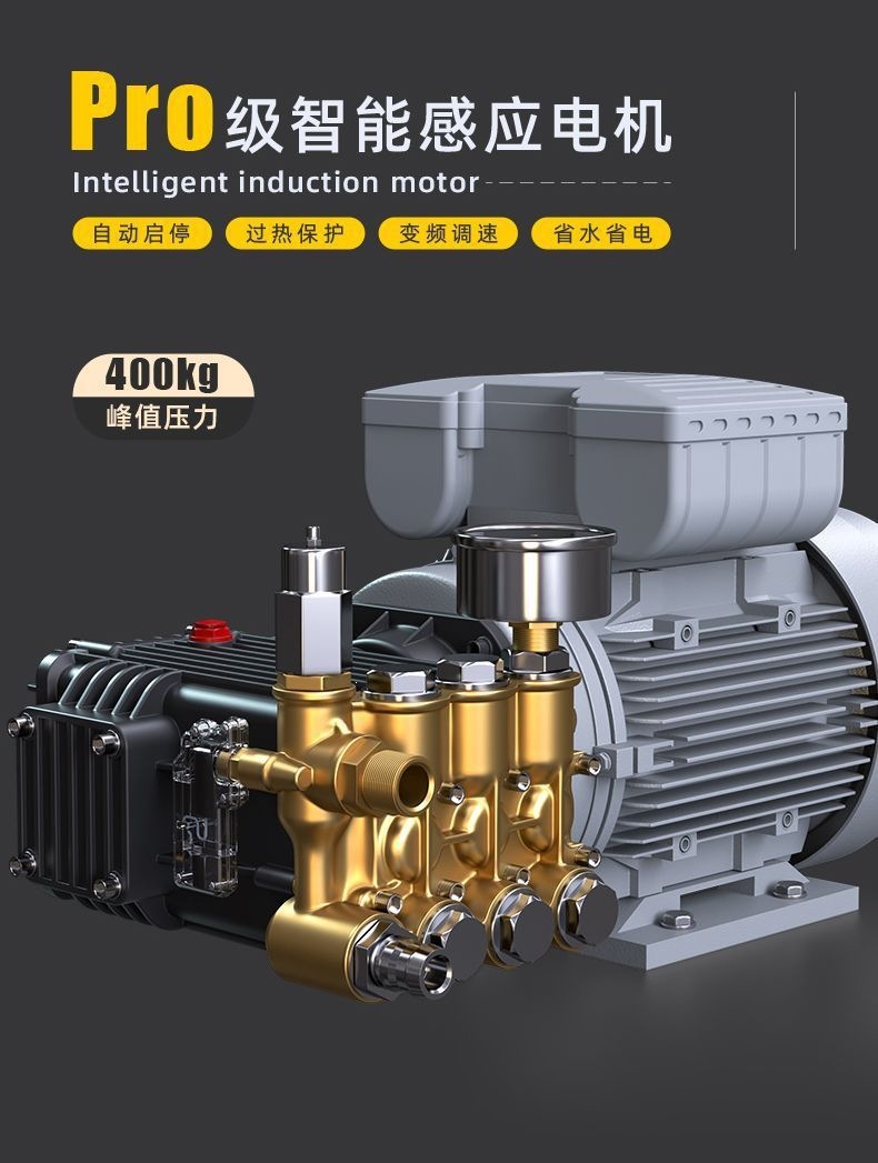 Black Cat Hero Commercial Car Wash Machine, 220V, High-Power Industrial Cleaning Machine for Car Wash Shops and Livestock Farms