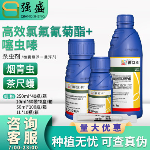 �����_ ������22%���xຸ�Ч����������x�׷�ʭ�����x�rș���x��