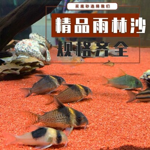 �~�׵�ɰ�Ꭷ����ɳ���~���������쾰�����߲��������yɳ̫�е�ɳ