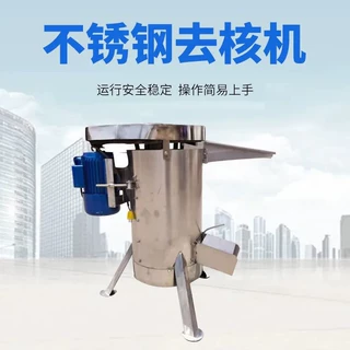 榴莲甜桃酸枣去核打浆机芒果枇杷去皮去核打浆机 汁渣核分离