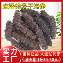海参工厂大连纯淡干海参干货佛跳墙底播野生辽刺参非即食大连直供