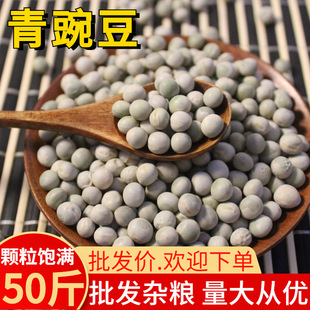 ���㶹 ���㶹 50���r���ԷN���㶹�s�Z����������ּZ ���l