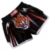 Black tiger