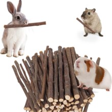 �O��֦�}��ĥ����ʳ��z����؈ĥ����}����m�i����ɢ�b���l