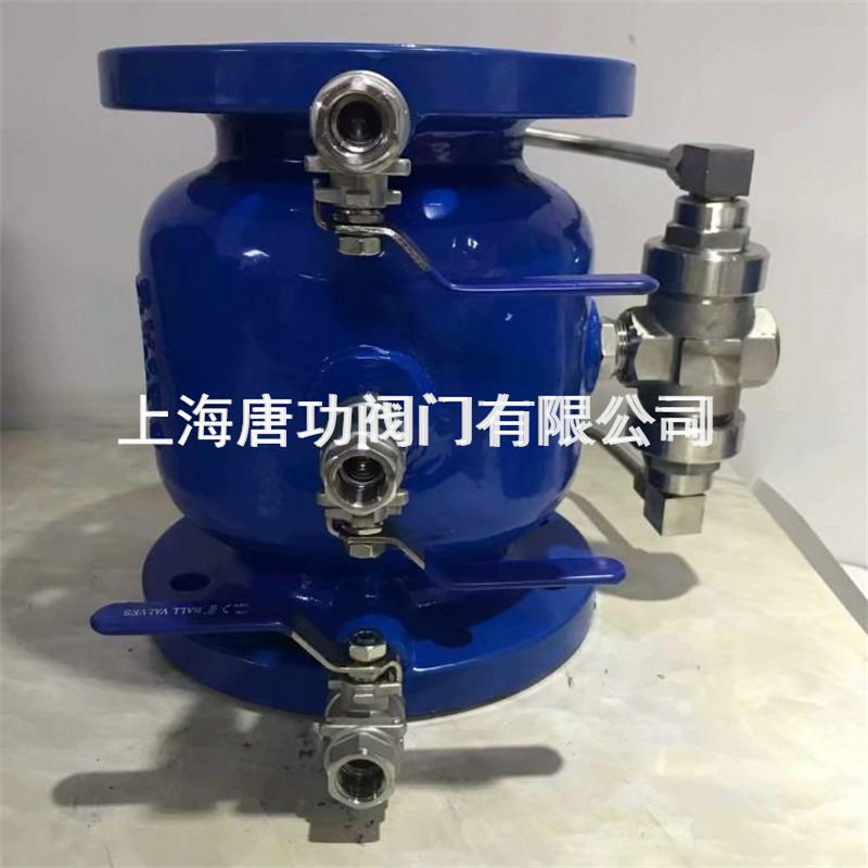 唐功LHS743X-10/16Q低阻力倒流防止器 防水回流污染止回阀自来水