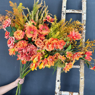 2026���¿���ɫϵ���滨��ɫϵ��c����õ��ٺϙ��������廨��Y